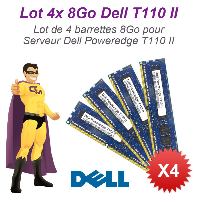 Lot 4x 8Go 32Go Ram Serveur Dell T110 II DIMM 240-PIN DDR3 PC3-12800E ECC  2Rx8 - MonsieurCyberMan