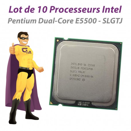 Lot x10 Processeurs CPU Intel Pentium Dual Core E5500 SLGTJ 2.8Ghz 800Mhz LGA775