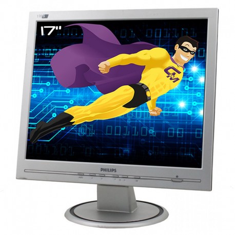 Ecran PC Pro 17" PHILIPS 170S6FS LCD TFT 1x VGA 1280x1024 60Hz VESA 43cm 5:4