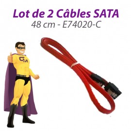 Lot 2 Câbles SATA E74020-C C95764-001 10011179-001 REV A 48 cm Rouge