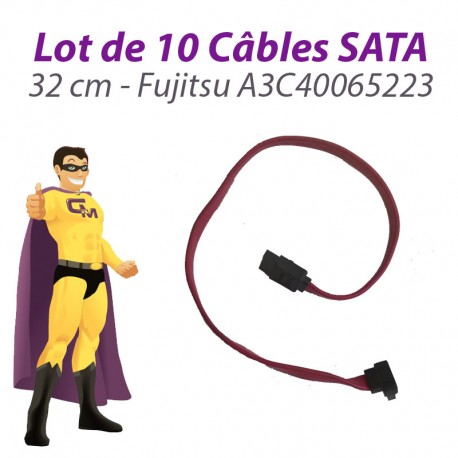 Lot x10 Câbles SATA A3C40065223 Fujitsu Siemens Esprimo E5700 E5905 32cm Rose