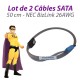 Lot x2 Câbles SATA NEC BizLink 6935060000 26AWG PowerMate VL350 50cm Gris