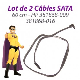 Lot 2 Câbles SATA HP 381868-009 381868-016 Proliant ML110 DC5800 60cm Gris Foncé