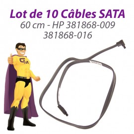 Lot 10 Câbles SATA HP 381868-009 381868-016 Proliant ML110 DC5800 60cm Gris Foncé