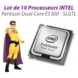 Lot x10 Processeurs CPU Intel Pentium Dual Core E5300 2.6Ghz 800Mhz LGA775 SLGTL