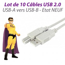 Lot x10 Câbles USB 2.0 A/B 3m 149381 Ordinateur Imprimante Scanner Gris NEUF