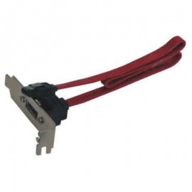 Câble SATA/eSATA Fujitsu T26139-Y3983-V1 A3C40087680 A3C40087681 Low Profile