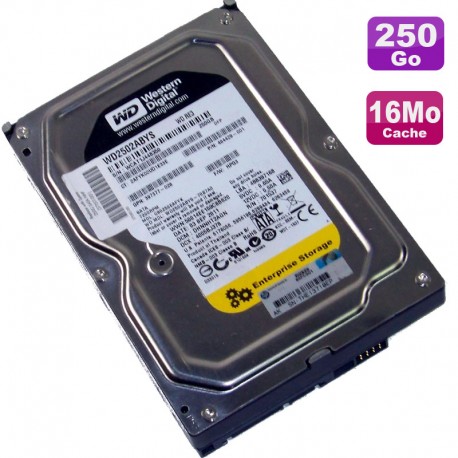 Disque Dur 250Go SATA 3.5" Western Digital Enterprise WD2502ABYS-70B7A0 484429