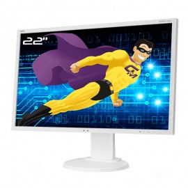 Ecran PC 22" NEC MultiSync E223W L221V3 VGA DVI-D DisplayPort 16:10 WideScreen