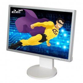 Ecran PC 22" NEC MultiSync EA221WM-S L227HR VGA DVI-D USB 16:10 WideScreen LCD
