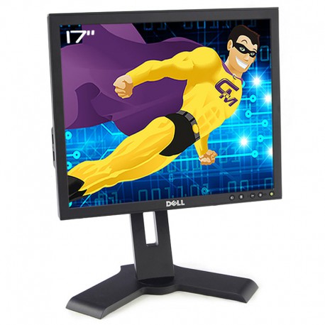 Ecran PC Pro 17" DELL P170Sb 0XC3PK XC3PK LCD TFT TN VGA DVI USB 1280x1024 VESA