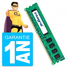 8Go RAM DDR3 PC3-10600E Integral IN3T8GEZJIX DIMM ECC Serveur