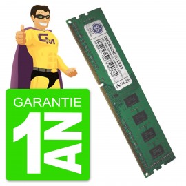 Crucial Barrette Memoire - Bureau RAM DDR4 8Gb - 2666 MHz - Vert - Prix pas  cher