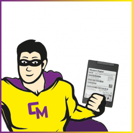 SSD 256Go 2.5" Western Digital SA530 SDASB8Y-256g SATA III 6 Gbps