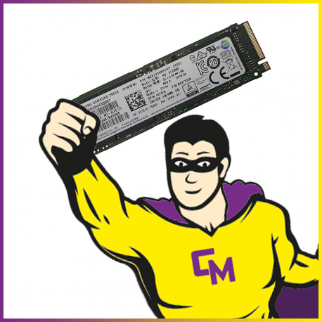 SSD NVMe M.2 2280 256Go Samsung MZ-VLW2560 MZVLW256HEHP-000L7 P/N SSS0L25044