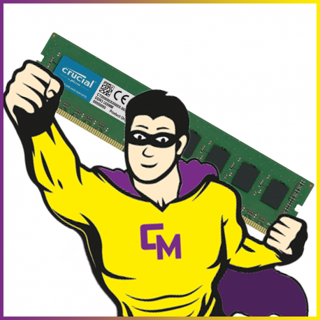 2Go RAM Crucial CT25664BD160BJ.C16FKD2 DDR3 PC3L-12800 1600Mhz 1.35v CL11