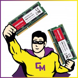 Lot 2x8Go RAM Gigastone GSTD38G1600 SODIMM DDR3L PC3-12800 1600Mhz 1.35v NEUF