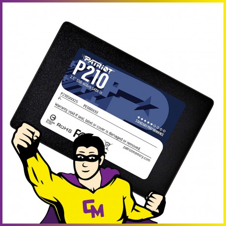 SSD 128Go 2.5" Patriot P210 P210S128G25 SATA III 6Gbps