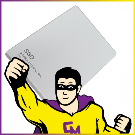 SSD 256Go 2.5" SK Hynix SC210 0H0J60 HFS256G32MND-2200A SATA III 6Gbps