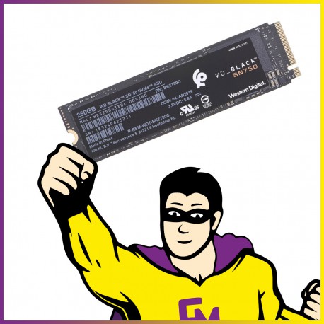 SSD NVMe M.2 2280 250Go Western Digital WD BLACK SN750 WDS250G3X0C