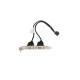 Câble USB Lenovo ThinkCentre 41R3371 31026131 USB x2 11-Pin 13.5cm High Profile