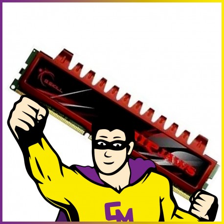 8Go RAM DDR3 G.SKILL RIPJAWS F3-10666CL9S-8GBXL PC3-10666 1333Mhz DIMM CL9 1.50V