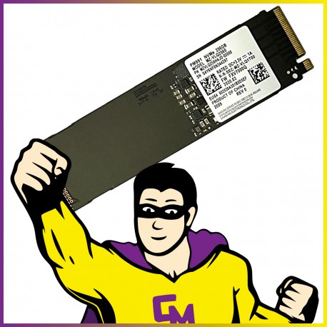 SSD NVMe M.2 2280 256Go Samsung PM991 MZ-VLQ2560 Clé M