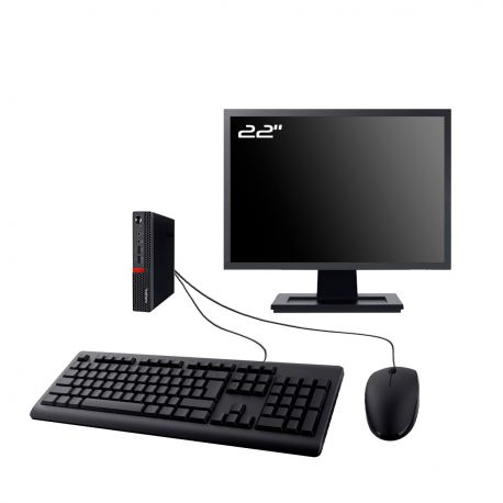 PC Lenovo M625q Tiny Ecran 22" AMD E2-9000e RAM 16Go M.2 960Go W11 Wifi