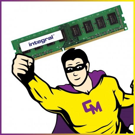 8GB RAM Serveur INTEGRAL-IN3T8GEBJMX-J1914A KR PC3-14900E 1866 Mhz DIMM CL11 ECC