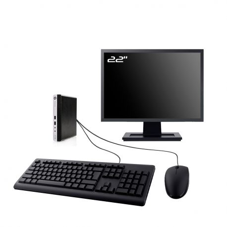 PC HP ProDesk 400 G3 Mini Ecran 22" Intel G4400T RAM 32Go SSD 480Go W11 Wifi