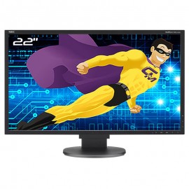 Ecran PC 22" NEC MultiSync EA223WM-BK L221V3 VGA DVI DisplayPort USB 16:10 Wide