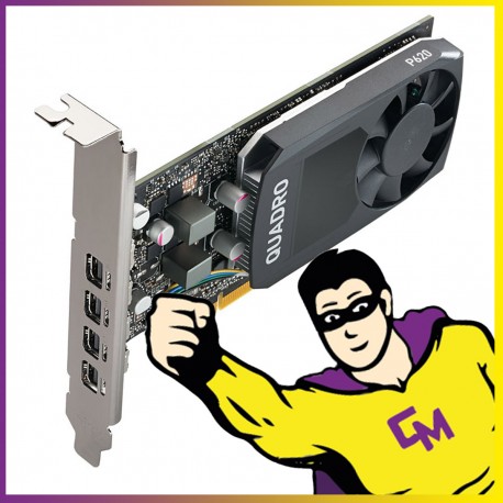 Carte Graphique Nvidia Quadro P620 2Go LP PCI-Express Mini DisplayPort