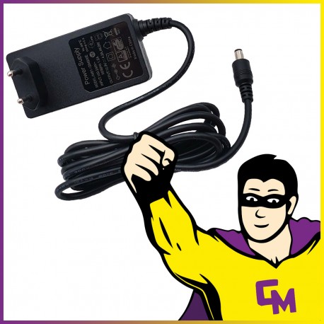 Chargeur XinsPower A481-1204000E Bloc Alimentation Adaptateur 12V 48W