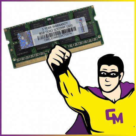 8GB RAM DDR3 Consistent PC3-12800 1600 Mhz SODIMM PC