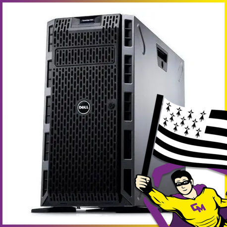 SERVEUR Tour Dell T320 