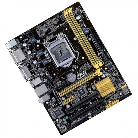 Carte Mère ASUS H81M2 LGA 1150 Format Micro ATX RAM DDR3 DVI-D/DIVI-I
