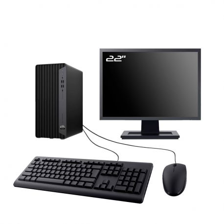 PC HP EliteDesk 800 G6 MT Ecran 22" Intel I5-10400 RAM 8Go SSD 1To Wifi W11