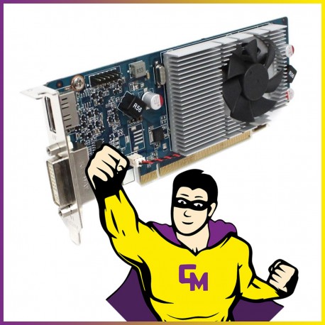 Carte Graphique Nvidia GeForce 405 1Go DDR3 PCI-Express DP DVI-I Low Profile