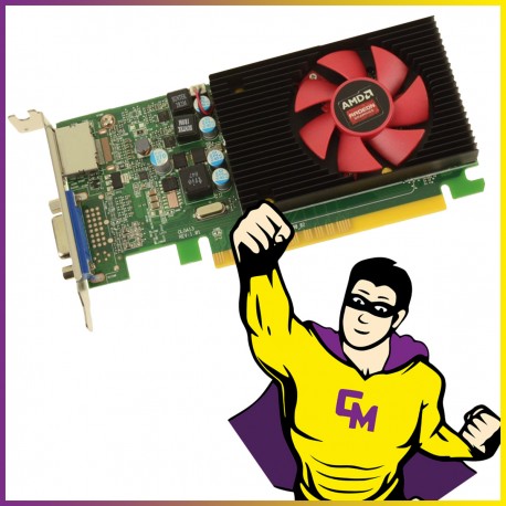 Carte Graphique AMD Radeon R5 430 1Go GDDR5 PCI-Express VGA DP Low Profile