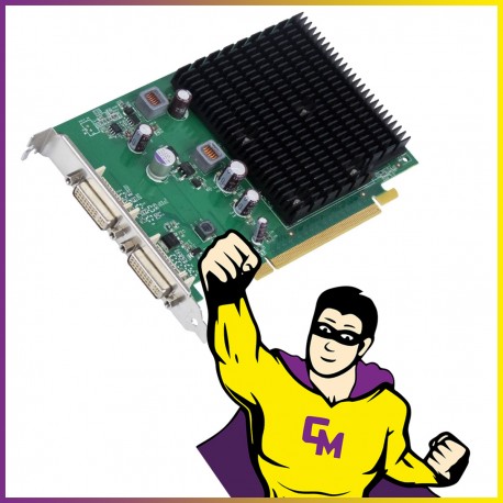 Carte Graphique Fujitsu Nvidia GeForce 3900GE 512 Mo DDR2 PCI-Express DVI