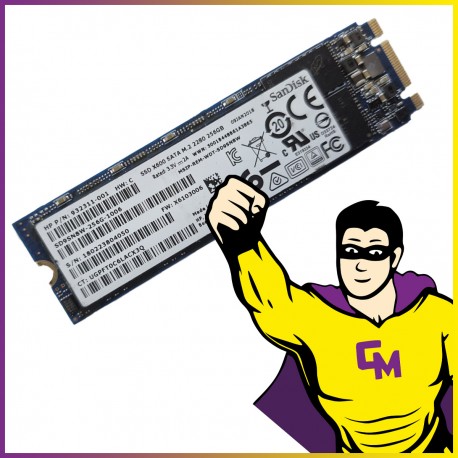 SSD SATA M.2 2280 256 Go SanDisk X600 SD9SN8W-256G-1006 Clé B+M