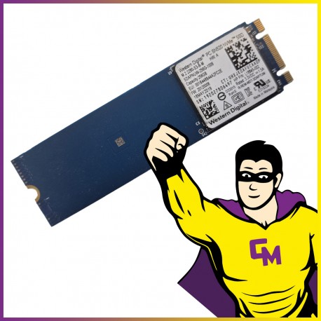 SSD SATA M.2 2280 256 Go Western Digital SN5220 SDAPNUW-256G-1006 Clé B+M
