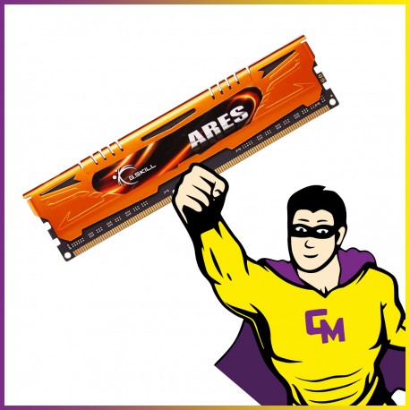 8Go RAM DDR3 G.Skill F3‑1600C10Q‑32GAO DIMM 1600 Mhz Mémoire PC