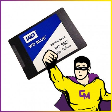 SSD 250Go 2.5" Western Digital WDS250G1B0A-00H9H0 SATA III 6Gb/s