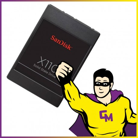 SSD 256Go 2.5" SanDisk X110 SD6SB1M-256G-1001 SATA III 6Gbps