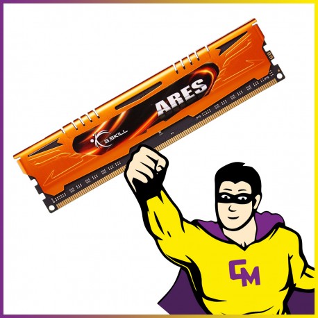 4Go RAM DDR3 G.SKILL F3-2133C11D-8GAO DIMM 2133 Mhz Mémoire PC