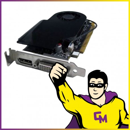 Carte Graphique Fujitsu Nvidia GeForce GT630 2Go DDR3 PCIe DVI DP Low Profile