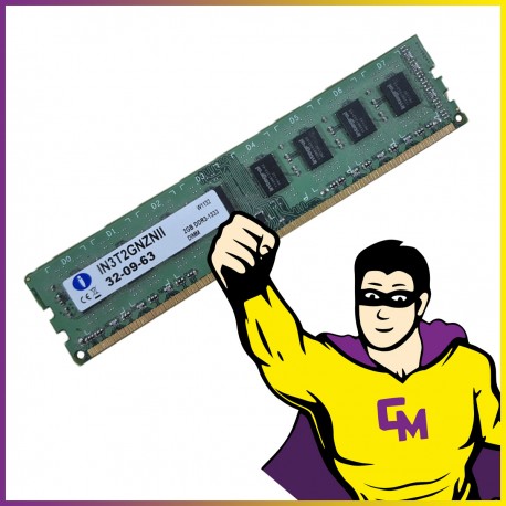 2Go RAM DDR3 Integral IN3T2GNZNII DIMM 1333 Mhz Mémoire PC