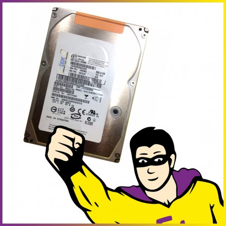 Disque Dur 3.5" 300Go SAS Hitachi HUS153030VLS300 0B22156 6Gb/s 15000 tr/min