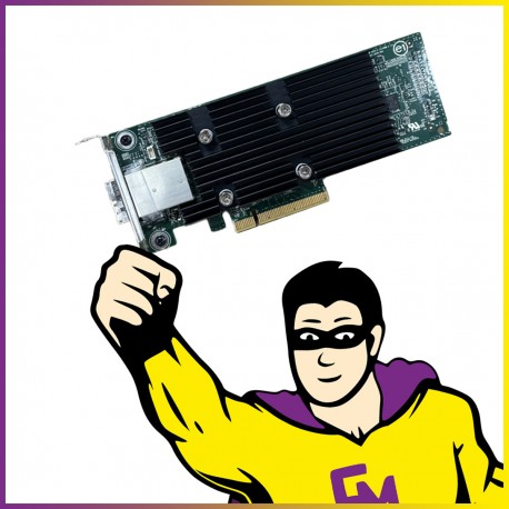 Carte SAS DELL 02PHG9 12 Gbit/s PCI-e Contrôleur RAID LowProfile